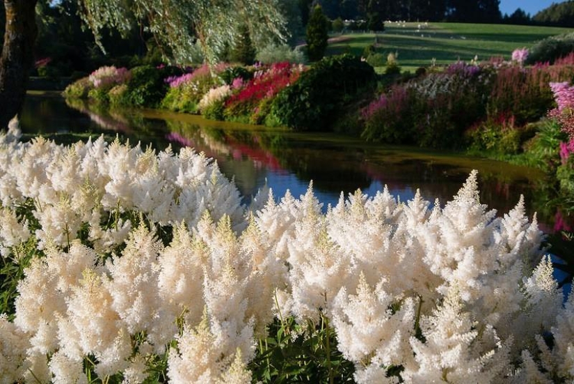 Increíble Maple Glen en Nueva Zelanda