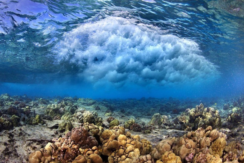 Increíbles imágenes de olas en la costa de Hawái