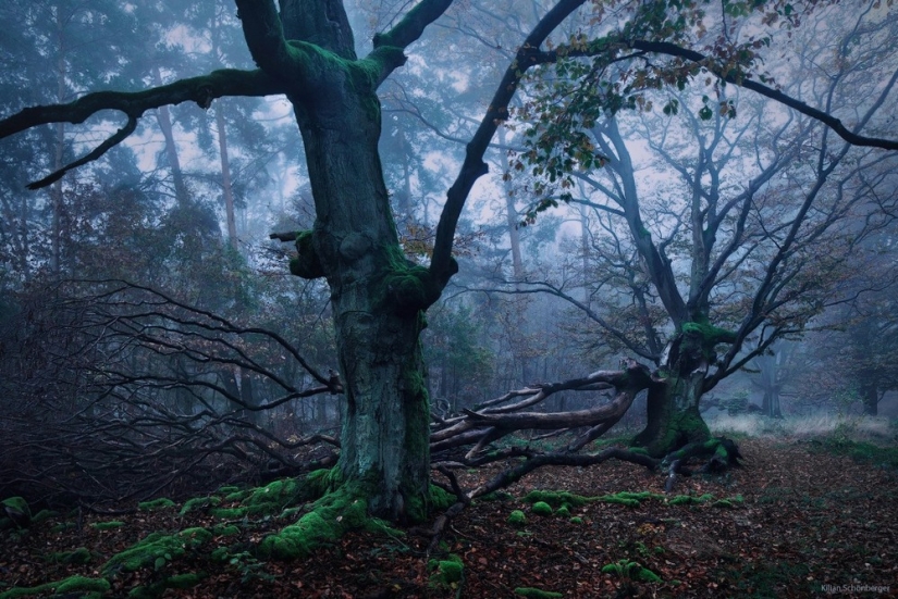 Increíbles paisajes inspirados en los cuentos de hadas de los hermanos Grimm