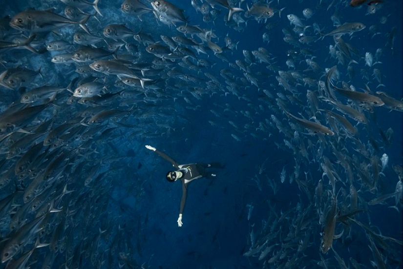 Incredible freediving in the wild