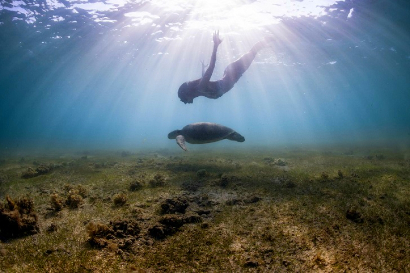 Incredible freediving in the wild