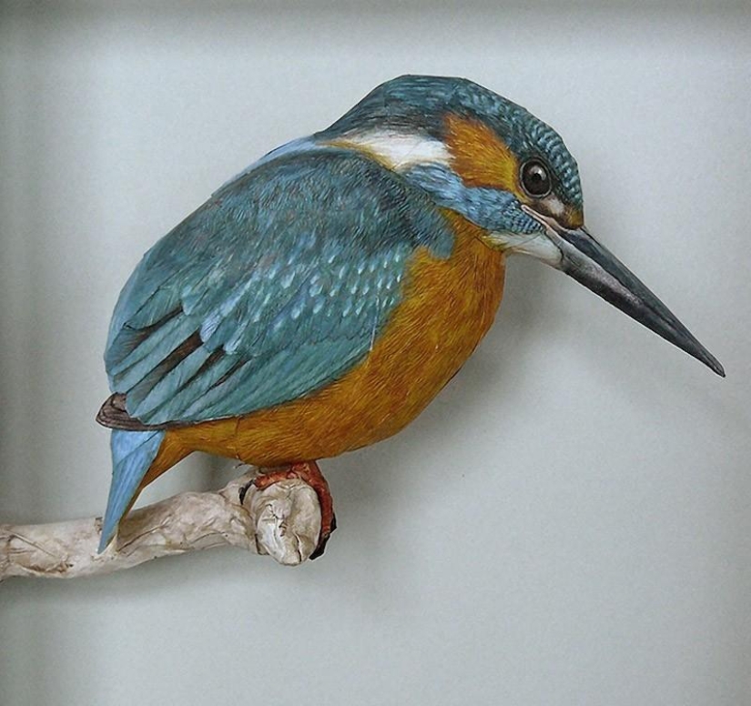 Incredibly realistic 3D paper birds