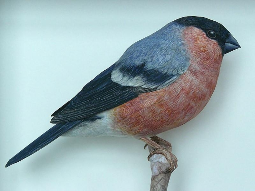 Incredibly realistic 3D paper birds