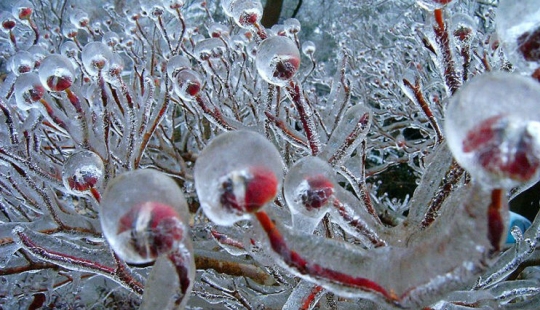Inspiración de hielo - 23 fotos de interesantes formaciones de hielo