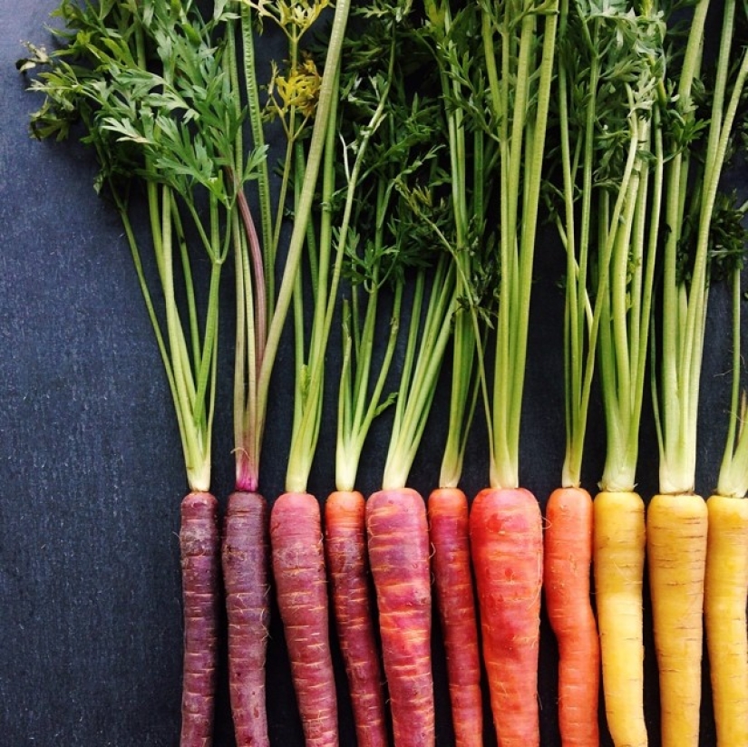 Instagram User Turns Food Into Rainbow Paintings