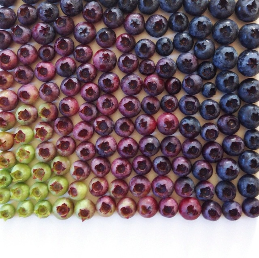 Instagram User Turns Food Into Rainbow Paintings