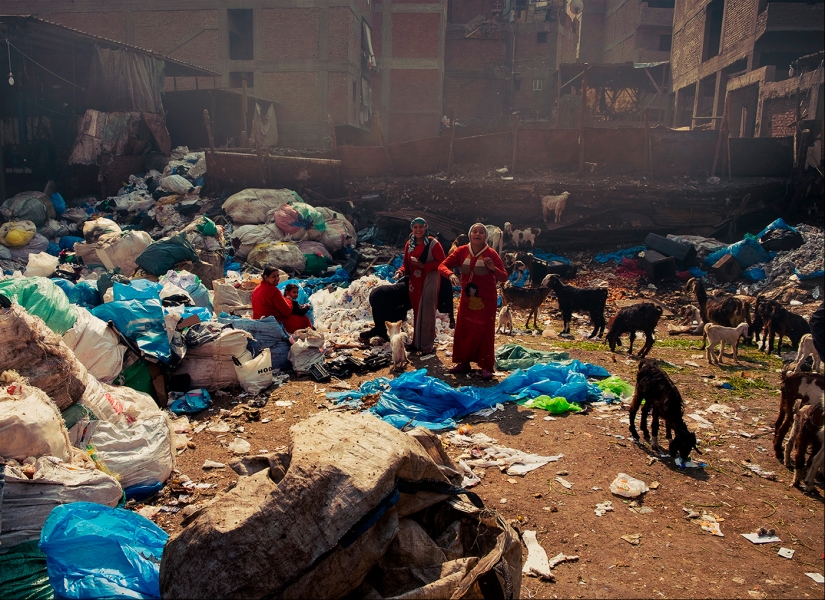 It's a pity these photos don't convey the smell: The City of Scavengers in Cairo