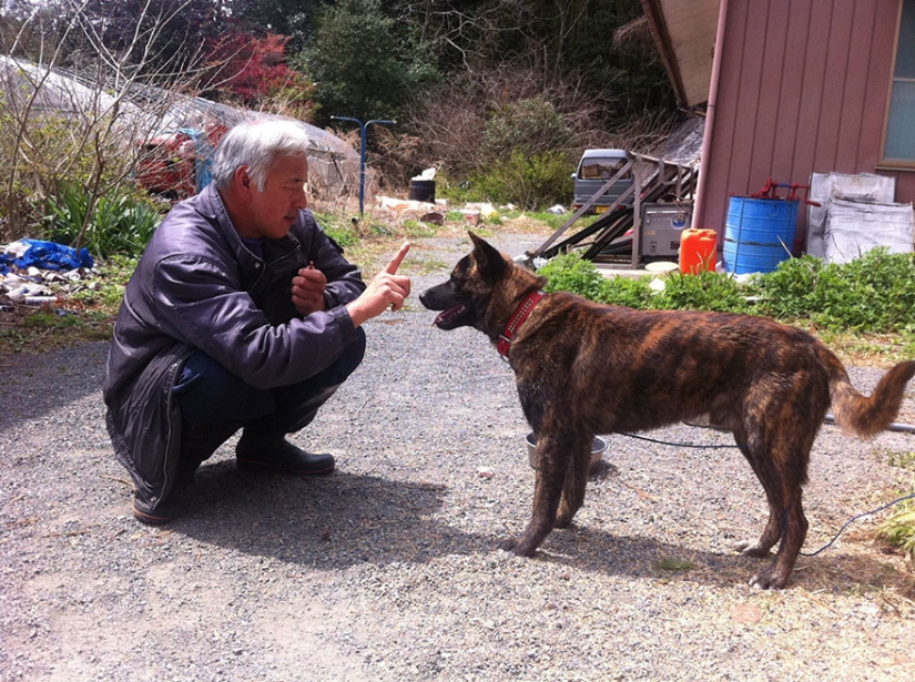 Japanese man returns to Fukushima contaminated area to feed abandoned animals