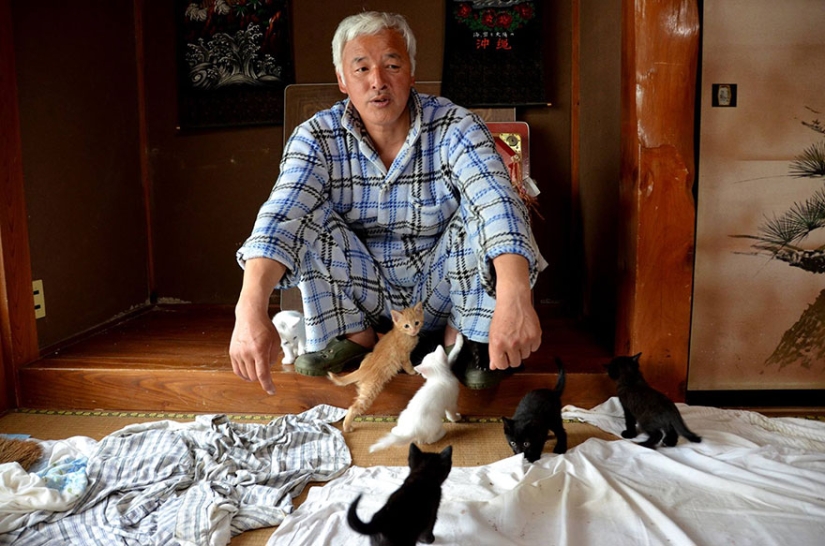 Japonés regresa a zona contaminada de Fukushima para alimentar a animales abandonados
