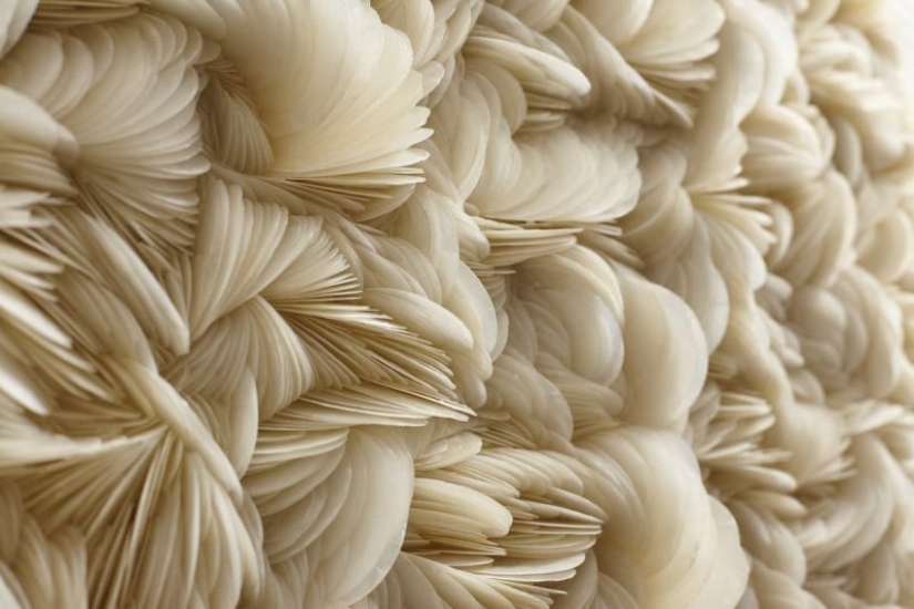 Joyería: artista Británico crea impresionantes esculturas de miles de conchas de mar
