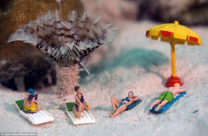 juguetes de vida submarina