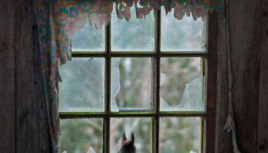 Kai Fagerstrom - House in the Woods Kai Fagerstrom - House in the Woods