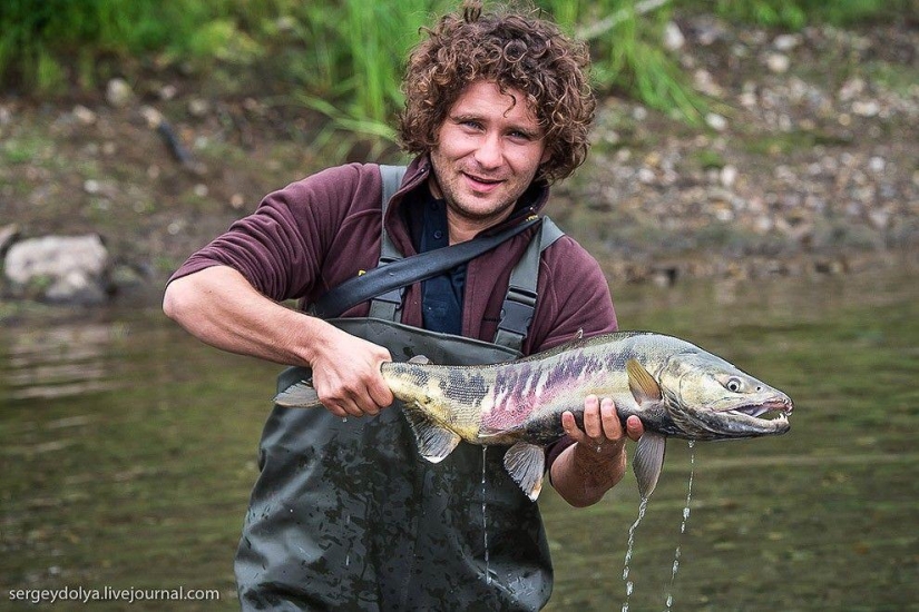 Kamchatka. Salmon