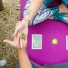 "Konoplayf": a center for "psychedelic yoga" with marijuana has been opened in the USA