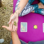 "Konoplayf": se ha abierto en Estados Unidos un centro de "yoga psicodélico" con marihuana