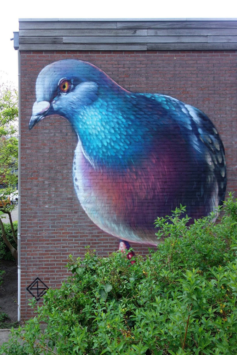 Kurls-kurls? Street Artist Super A and his Giant Pigeons