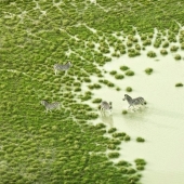 La belleza prístina de África en increíbles fotos aéreas