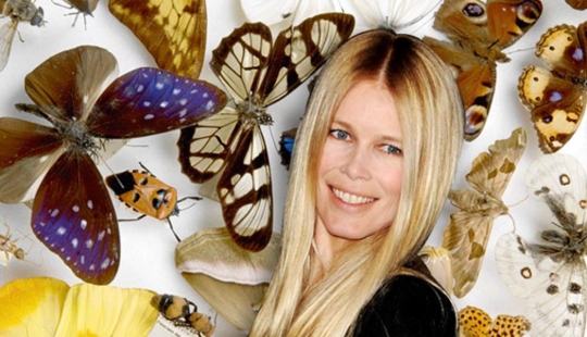 La colección de insectos de Claudia Schiffer y 14 pasatiempos secretos de celebridades más