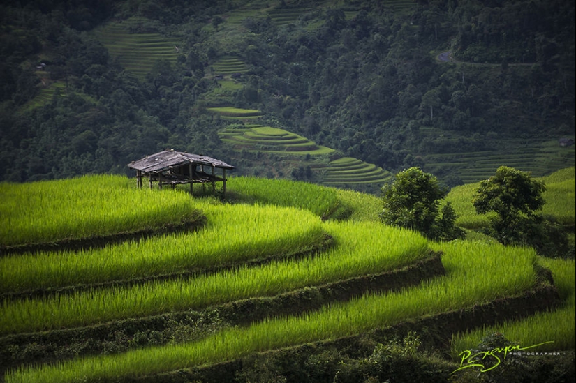 La encantadora belleza de Vietnam