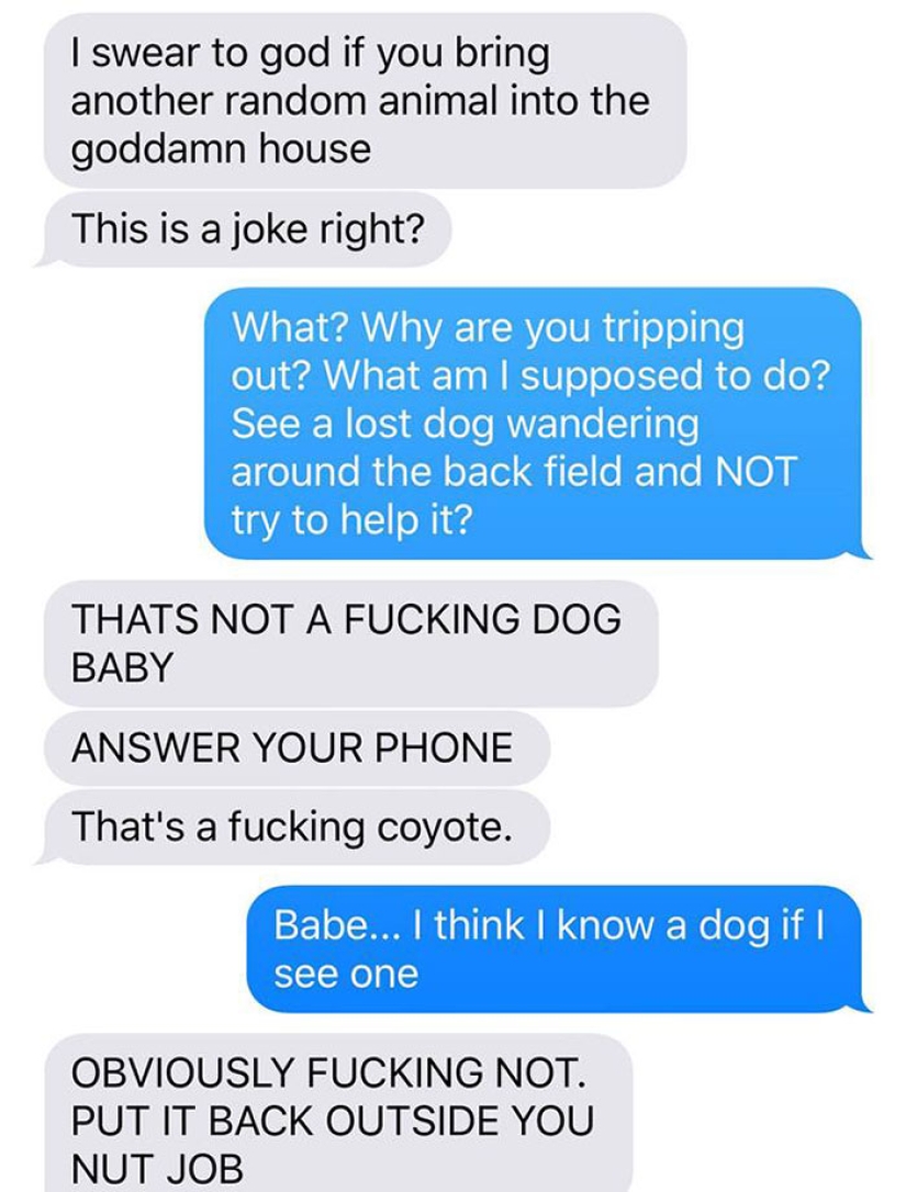 La esposa arrastró al coyote a casa y le preguntó a su esposo si era posible dejarlo