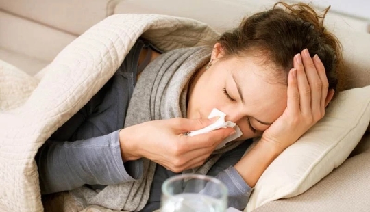 La gripe es una decepción: ¿cómo protegerse contra el virus en la temporada de frío