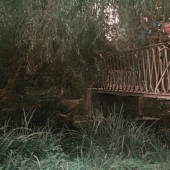 La historia del Parque de las Culturas del Sur en Adler, que sobrevivió a la revolución, la guerra y los Juegos Olímpicos