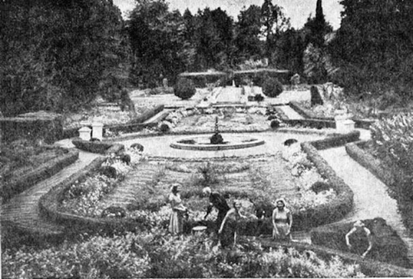 La historia del Parque de las Culturas del Sur en Adler, que sobrevivió a la revolución, la guerra y los Juegos Olímpicos