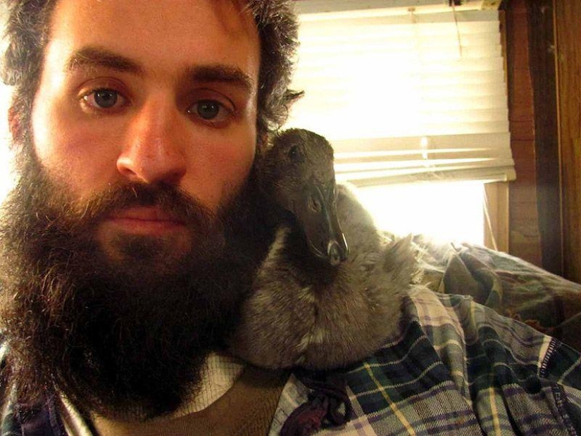 La increíble historia de salvar a un patito... en una barba