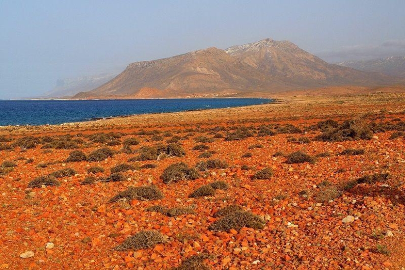 La increíble isla de Socotra