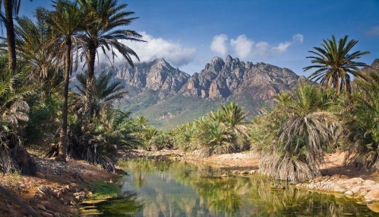 La increíble isla de Socotra