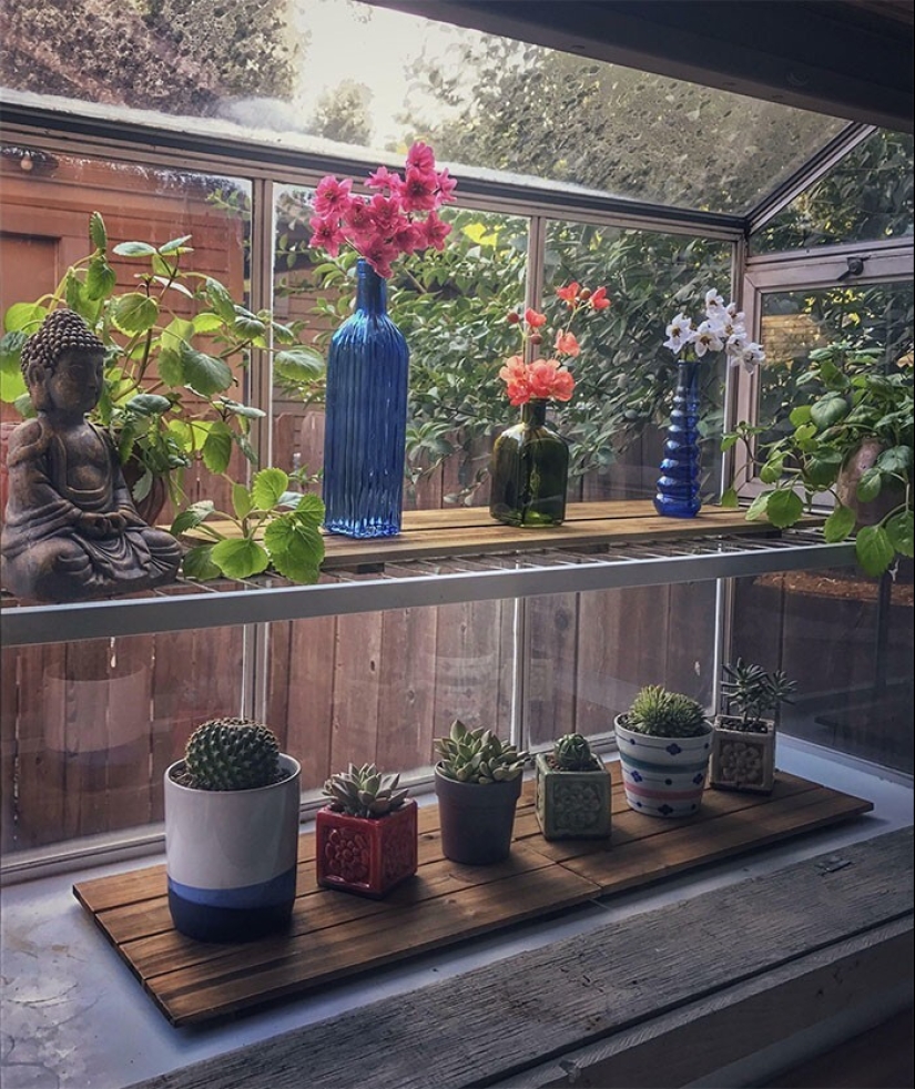 La jardinería es genial! 30 mejores fotos de la comunidad Reddit más grande para jardineros
