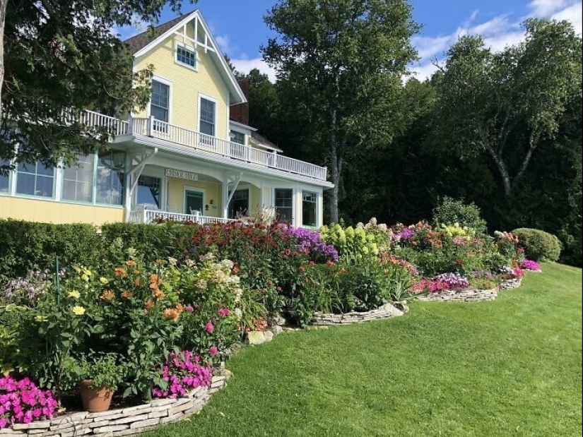 La jardinería es genial! 30 mejores fotos de la comunidad Reddit más grande para jardineros