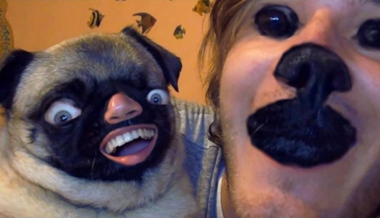 La madre nativa no lo sabrá: cuando el intercambio de caras se convierte en una especie de circo espeluznante La madre nativa no lo sabrá: cuando el intercambio de caras se convierte en una especie de circo espeluznante