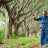 La mujer de 105 años no tuvo hijos, y luego se convirtió en madre de 300 árboles