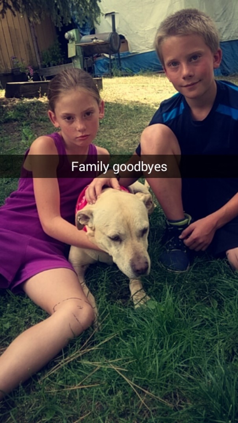 La niña organizó un día de despedida para su amado perro gravemente enfermo antes de la eutanasia