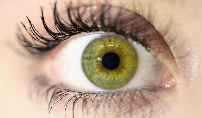 La población mundial por color de ojos