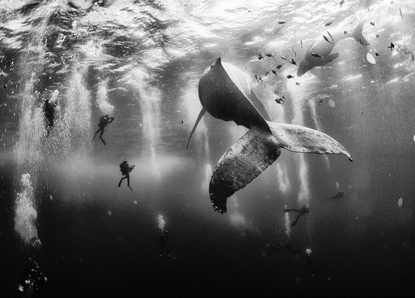 La revista National Geographic nombró a los ganadores del concurso anual de fotografía de viajes