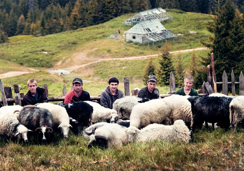 La vida de los pastores en el prado.