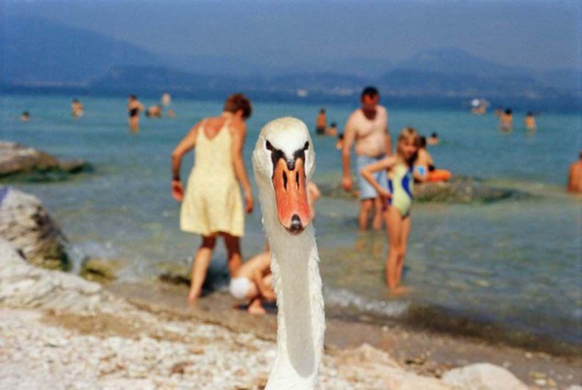 La vida es una playa: fotos del polémico Martin Parr