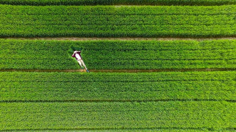 Las 10 mejores fotos de drones de 2015