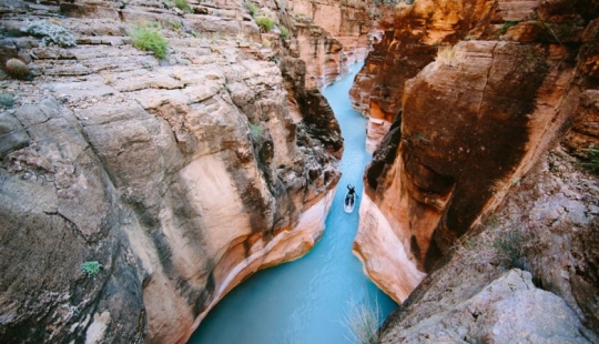 Las 15 mejores tomas de 2014 del extremo Forest Woodward