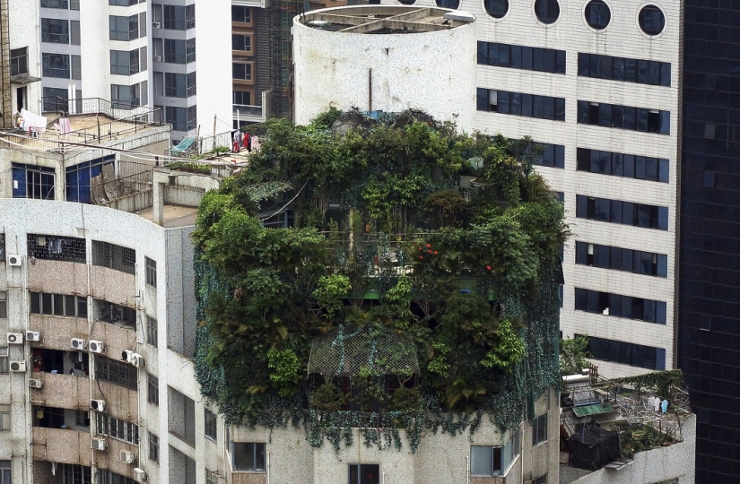 Las casas más inusuales del mundo.