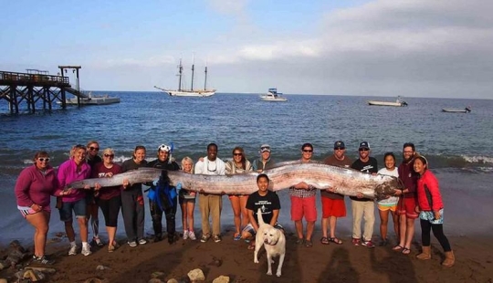 Las fotos científicas más increíbles del año saliente