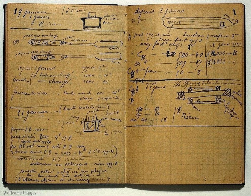 Las fotos de archivo más populares en 2013