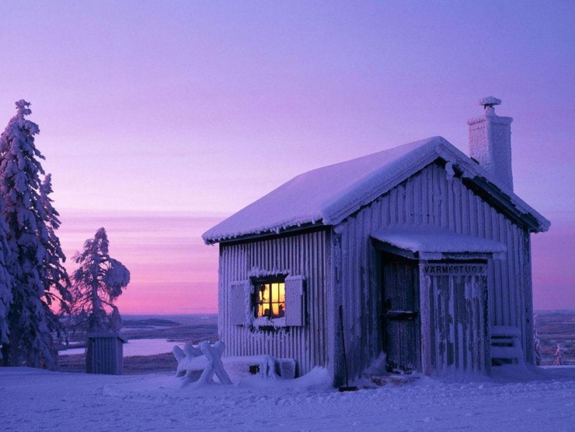 Las fotos más bellas de un invierno helado.