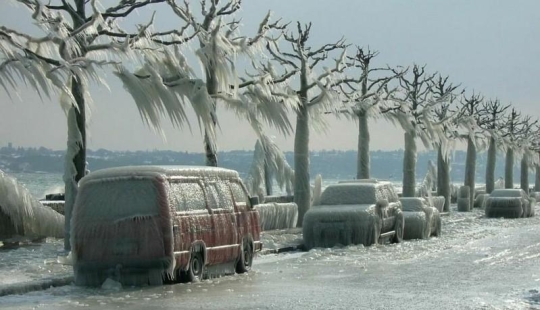 Las fotos más bellas de un invierno helado.