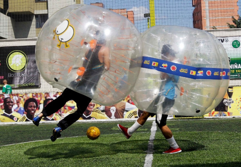 Las fotos más curiosas y divertidas de 2015