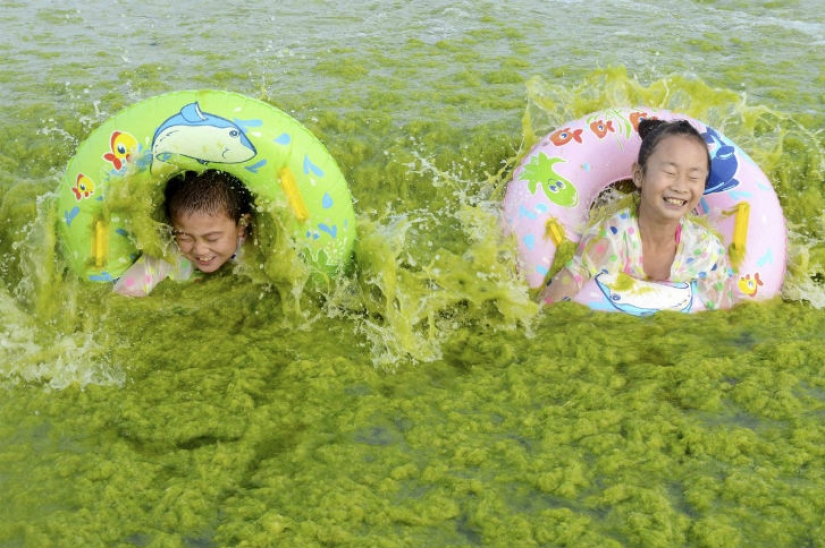 Las fotos más curiosas y divertidas de 2015