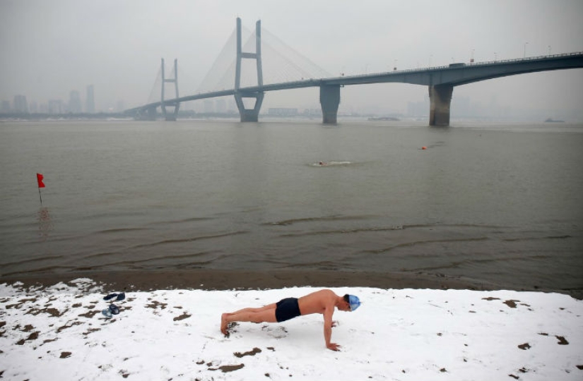 Las fotos más curiosas y divertidas de 2015