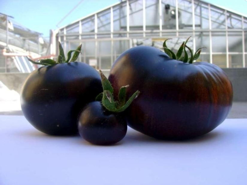 Las frutas y verduras más inusuales en los estantes.